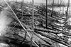 I 1953, da dette billede blev taget, 45 år efter at en formentlig ca. 10 tons tung meteor ramte Jorden nær Tunguska i Rusland, var der stadig tydelige spor efter eksplosionen. Eksplosionen i 1908 skønnes at have væltet omkring 80 mio. træer omkring eksplosionsområdet. Foto: AP