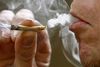 Kloge børn har større sandsynlighed for at eksperimentere med cannabis. Det viser et nyt engelsk studie. Foto: Jyllands-Posten