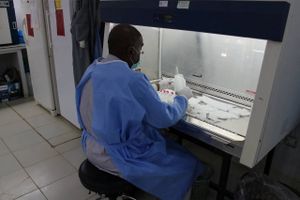 Stridende part i Sudan har beslaglagt et laboratorie. Det medfører "høj risiko for biologisk fare", siger WHO.
