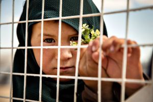 Det haster med at få bragt de fem danske børn, der stadig befinder sig under frygtelige forhold i al-Hol-lejren i Syrien, hjem til Danmark, da det vil få alvorlige konsekvenser for deres udvikling, hvis de ikke hentes ud hurtigt, mener dagens skribenter. Arkivfoto: Thea Pedersen