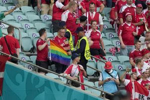 Stadionvagter tog regnbueflag fra dansk tilskuer før EM-kamp. Uefa vil til bunds i sagen, oplyser forbundet. 