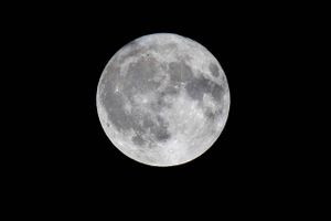 I dagene op til fuldmåne går folk op til halvanden time senere i seng, viser nyt studie, som dog står i kontrast til tidligere forskning.