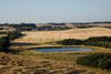 Varieret natur, et rigt dyreliv, øboernes gæstfrihed og en uendelig portion idyllisk charme – det er svært ikke at føle lykke på Samsø. Foto: Nicolai Perjesi/VisitDenmark