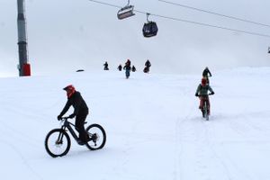 De fleste danskere er ikke vant til stejle stigninger på cykelstien, men i Alpernes bjerglandskab kan du køre på eldrevet mountainbike i sneen – det var dog ikke lige nemt for alle.