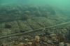 Vraget af, hvad der sandsynligvis er det danske orlogsskib "Delmenhorst", som sank under Slaget i Femern Bælt i 1644. Skibet blev opdaget under udgravninger til den faste forbindelse til Tyskland. Vraget ligger på blot tre meter vand tæt på kysten. Foto: Udgravningsleder og museumsinspektør Morten Johansen (Vikingeskibsmuseet)/Free