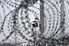 Grækenland er et af de lande, der har opsat pigtrådshegn for at standse flygtningestrømmen. Her er det nær Orestiada ved grænsen til Tyrkiet. Foto: Vassilis Ververidis/Reuters