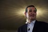 Republikaneren Ted Cruz har nu officielt meddelt, at han går efter at blive USA's næste præsident.