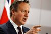 David Cameron erkender, at han ikke er blevet »mødt af en mur af kærlighed fra sine EU-kollegaer « efter at have lovet briterne en EU-afstemning. Foto: Mindaugas Kulbis/AP