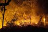 En brand i Chapada dos Veadeiros National Park i Brasilien i 2017, der menes at have været påsat, lagde 54.000 hektar øde. Branden gik hårdt ud over dyrebestanden i nationalparken, der er på Unescos verdensarvsliste. Foto: Fernando Tatagiba/ AFP