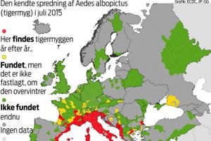 Myg fra andre verdensdele breder sig med rasende fart i Europa. Med sig bringer de nye tropiske sygdomme. Inden længe også til Danmark.