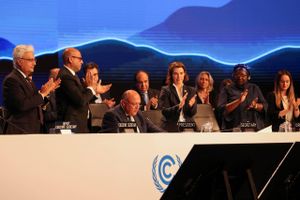 Chefforhandler for gruppe af ulande kalder aftale om klimakompensation et »historisk øjeblik«.
