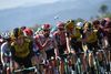 Belgium's Thomas De Gendt (CL) cools off in the pack during the sixteenth stage of the 106th edition of the Tour de France cycling race between Nimes and Nimes, in Nimes, on July 23, 2019. (Photo by JEFF PACHOUD / AFP)