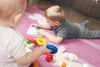 Legetøj er en af de ting, der kan indeholde hormonforstyrrende stoffer. Foto: Foto: Colourbox/Petro Feketa