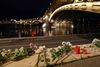 Mindst syv blev dræbt ved ulykken på Donau. Foto: Marko Djurica/Reuters