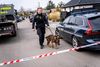 Politiet arbejder på Svalevej i Korsør søndag den 16. april 2023. Det er endnu uvist, om det har relation til sagen om den 13-årige, der søndag eftermiddag blev fundet, efter at hun havde været forsvundet siden lørdag.. (Foto: Ida Marie Odgaard/Ritzau Scanpix)
