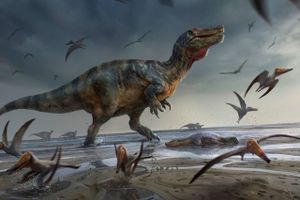 På en sydengelsk ø er der fundet fossiler fra en dinosaur, der skal have levet for 125 millioner år siden.