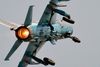 MiG-21-flyet stammer oprindeligt fra Rusland.