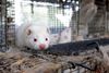 Arkivfoto: Fabian Bimmer/Reuters