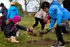 Nye træer er gode for klimaet. Foto: Finn Frandsen