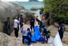De to britiske turister Hannah Witheridge og David Miller, rejste ikke sammen, men havde mødt hinanden under deres respektive rejser til Thailand. Efter at have deltaget i en fest på øen Koh Tao gik de to sammen langs stranden, hvor de blev myrdet.