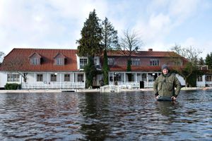 Med dræn, diger og pumper kæmper husejere langs Gudenå mod de stigende vandmasser. I år er nedbøren i januar tæt på at sætte rekord. Vi genbesøger tre grundejere langs Gudenå, der før har oplevet oversvømmelser, og hører, hvordan de klarer problemerne.