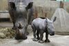 Foto: Givskud Zoo