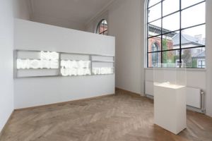 Kunsthal Charlottenborg er i disse dage blokeret fra Facebook-annoncering af en udstilling efter brugen af ordet porno. I Aarhus oplevede Kvindemuseet at blive blokeret fra annoncering, da det brugte ordet gender – på dansk køn. 