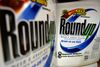 Et nævningeting har fastslået, at Monsanto ikke har gjort nok for at advare om risikoen ved brug af Roundup. Foto: Jeff Roberson/AP