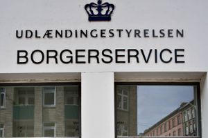 En mand frustreret over sin sagsbehandling er idømt dagbøder for racistiske udtalelser i Udlændingestyrelsen.