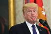 USA's præsident Donald Trump. Foto: Susan Walsh/AP