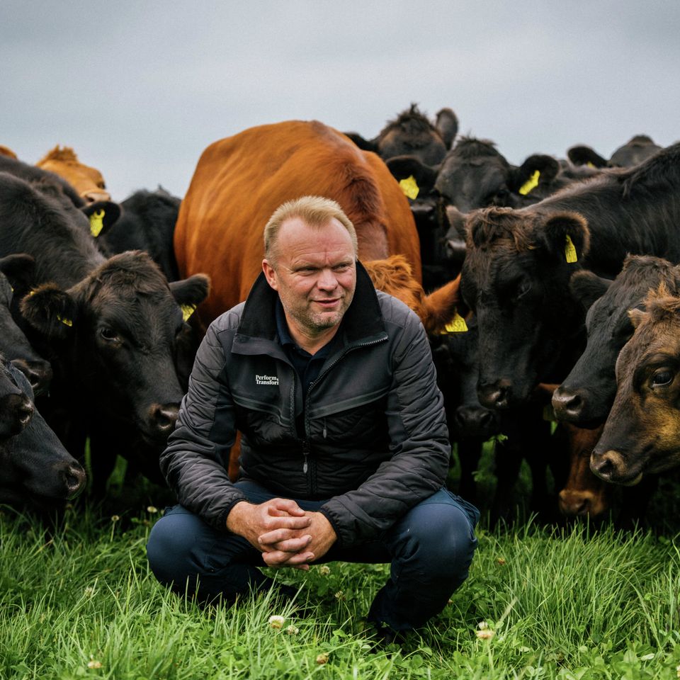 Landmand forsvarer prisen på oksekød: Jeg har fortjent det