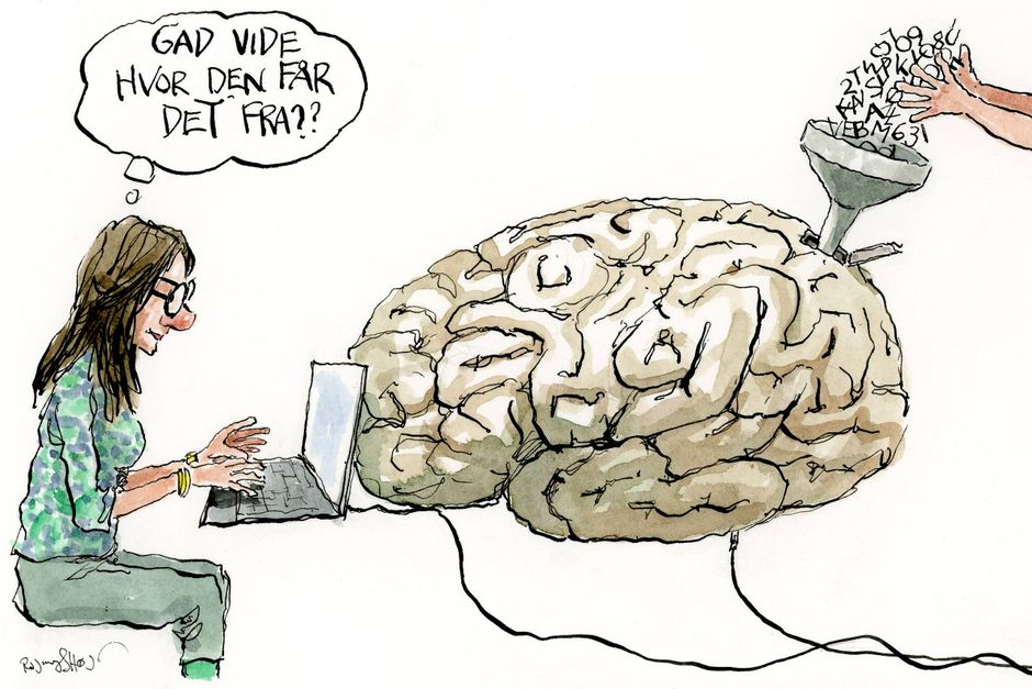 Artiklens øverste billede