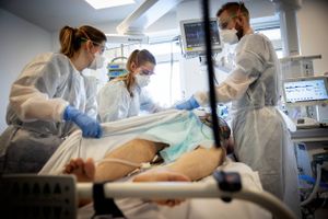 Vi skal passe bedre på alle de nyuddannede sygeplejersker. De er nyuddannede – og ikke færdige med at uddanne sig. Og det er dem, der skal passe på alle os i mange år fremover, skriver indlæggets skribenter. Arkivfoto: Casper Dalhoff 