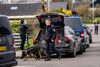 Der var masser af politi på Svalevej i Korsør søndag. Ifølge DR blev pigen fundet på adresse i Korsør. Foto: Ida Marie Odgaard/Ritzau Scanpix.