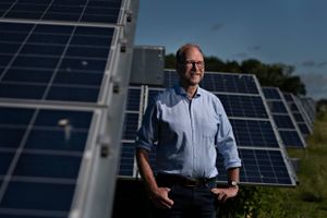 Først gik sol-selskaberne til angreb på andre medlemmer i Dansk Energi – nu går de sammen i deres egen brancheforening.