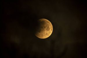 Måneformørkelse set fra Møn Kl. 04.45, mandag den 21. januar 2019. Foto: Per Rasmussen/Ritzau Scanpix