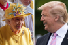 Trumps statsbesøg falder sammen med markeringen af 75-årsdagen for D-dagen i Normandiet under Anden Verdenskrig. Fotos: Arthur Edwards/AFP, Jim Watson/AFP