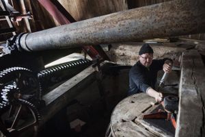HvornŒr er man dansker? Guide og hŒndv¾rker pŒ Dybb¿l M¿lle Palle Pallesen, 58 Œr