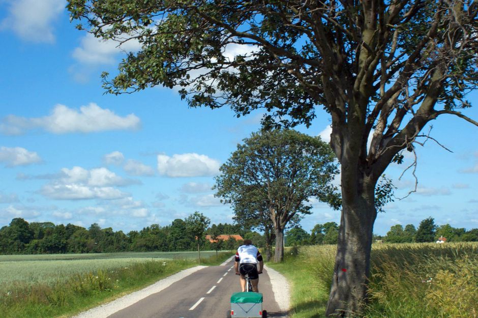Ny ankomst stå Rede Dyrt at køre fuld på cykel under ferien