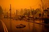 Skovbrandene i Australien har udledt 400 mio. ton CO2. Foto: Sean Davy/AFP