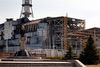 Svampe fundet ved en eksploderet atomreaktor i Tjernobyl er i stand til at høste energi fra radioaktiv stråling. Foto: Martin Lehmann