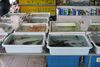 På Chatuchak-markedet i Bangkok sælges der et utal af dyr fra hele verden - også illegalt. Foto: Wikimedia Commons