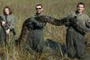 På dette foto fra nov. 2009 fremviser forskere fra University of Florida en næsten 73,6 kg tung pytonslange fanget i sumpområdet Everglades. Foto: Michael R. Rochford/AP