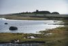 Danmark er i front, når det gælder bekæmpelsen af klimaforandringerne, men biodiversiteten er straks en anden sag. Foto: Morten Langkilde