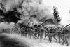 Tysk infanteri på vej til skyttegravene under det store slag ved Verdun i Frankrig i begyndelsen af 1916. Slaget blev symbolet på den brutalitet og tragiske meningsløshed som prægede Første Verdenskrig. Foto: dpa/AP