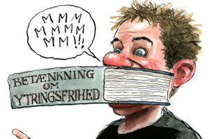 Offentligt ansatte skal også have ret til at ytre sig i samfundsdebatten uden at frygte for, at det får konsekvenser i arbejdslivet. Men virkeligheden er tit en anden.