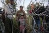 Syriske flygtninge venter ved pigtrådshegnet på grænsen mellem Ungarn og Serbien. Foto: Darko Bandic/AP