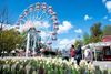 I samarbejde med Ældre Sagen lader Tivoli Friheden ældre opleve blomsterne i parken i denne uge. Mange tog imod tilbuddet i det gode forårsvejr. Foto: Christian Lykking