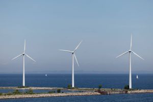 Det er endnu uvist, hvor meget vindkraften i Nordsøen skal udbygges for at sætte yderligere skub i den grønne omstilling og EU’s uafhængighed af kul, olie og gas, men til gengæld står det klart, at tidshorisonten for det nye mål formodentlig er kort, mener indlæggets skribenter. Arkivfoto: Thomas Borberg 