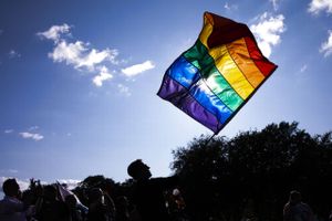  Biseksuelle personer oplever ifølge ny rapport problemer, når det handler om uddannelse, arbejde og trivsel.